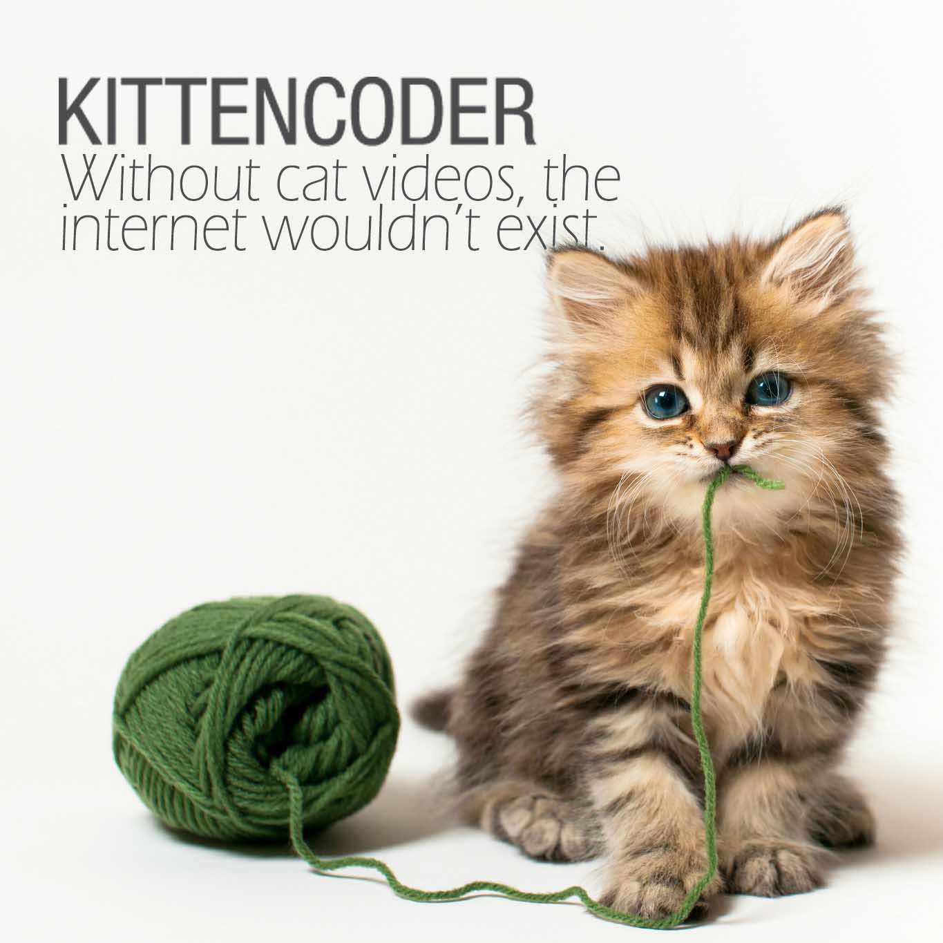 organization-thumbnail